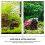 2Pièces Roue D'eau Plastique Décor Miniature Pour Aquarium 4