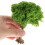 Kleine Groene Plastic Modelbomen Realistisch Landschap Decor 7