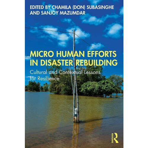 Micro Human Efforts in Disaster Rebuilding Cultural and Contextual Les