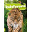 Rainforests by Mike Clark Paperback Book 1