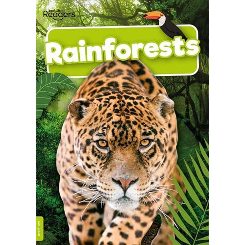 Rainforests by Mike Clark Paperback Book