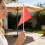 16St Marktflags Voor - En Tuinmarkering Van Stevig Polyester 3