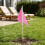 16St Marktflags Voor - En Tuinmarkering Van Stevig Polyester 9