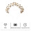 Delicate Sterrenkroon Bruid Tiara Bruiloft 4
