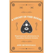Ghost in the Room by Ann McDougall Paperback Book