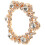 Schoengesp Bruidschoen Clip Wedding Prom 1