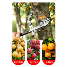 Fruitboomringsnijder met Dubbele Katrol, Schorsschiller, Ringschaar, Snoeischaar voor Citrus- en Jujubebomen, Tuingereedschap 2-5 mm