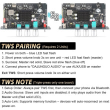 TW100U 100W Mono Amplifier Board, TPA3116D2 Digital Power Amp Module with Built-in Step- Voltage Circuit (19V/24V)