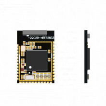 Module  NRF52833 BLE 5.3 Module Multi-IO Multi-Protocole Développement Secondaire