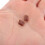 Mlins 5 Stuks Metinginstrument Fluitstaart 4