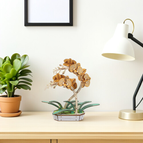 Phalaenopsis Bloemenmodel Creatieve Bouwset Voor Thuis 2