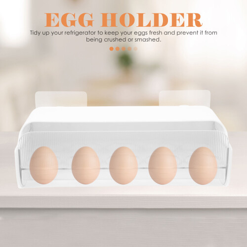 Pet Multi-Eierdoos 12- Koelkast Organizer Met Hangend Ontwerp 2