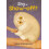 Shy or ShowOff by Omri Stephenson Paperback Book 1