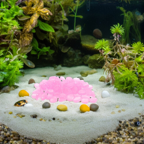 400Pièces Violets En Résine Pour Décor Aquarium 2