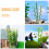 12 Stuks Miniature Bamboe Voor Micro Landschap Modellen 5