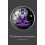 Quantum Connection by Nik Katsourides Paperback Book 1