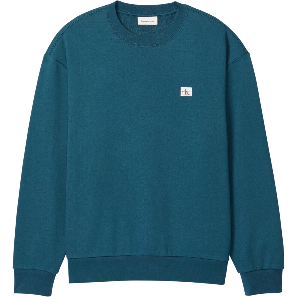 Calvin Klein (L, Teal) Mens Woven Sweatshirt