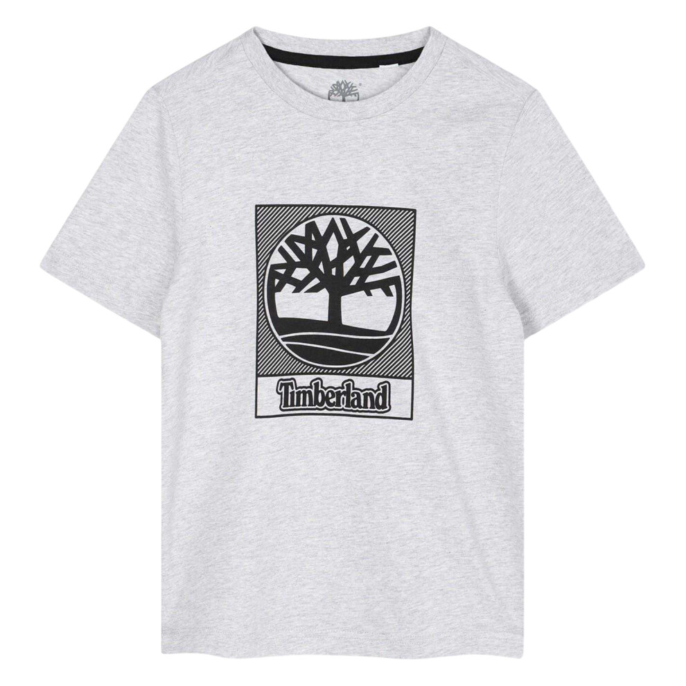 Timberland (14 Years, Grey) Boys Logo Regular T-Shirt