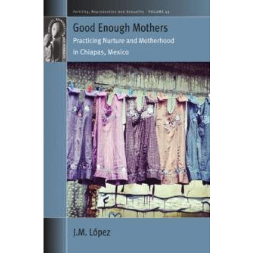 Good Enough Mothers by JM Lopez Paperback Book