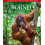 Enchanting Borneo by David Bowden Hardcover Book 1