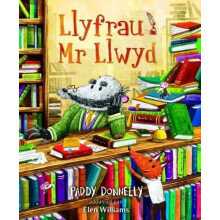Llyfrau Mr Llwyd by Paddy Donnelly Paperback Book