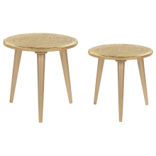 Set of 2 Side Tables NARRA Mango Wood Gold