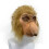 Nasenaffe-Maske aus Latex 2