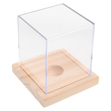 Transparant Softbal Display Case Balhouder Opslag
