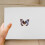 Witte Eva Bugs Spreading Board Voor Entomologie Presentatie 3