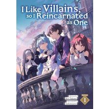 I Like Villains so I Reincarnated as One Light Novel Vol. 1 by Kei Tak