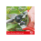 Felco Felco FEL6 Model 6 Compact Secateurs - Red 7