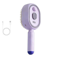 Pinceau Électrique à Coussin D'Air, Peigne de Massage, Brosse Vapeur Électrique pour Cheveux, Lisseur Vapeur Rechargeable C