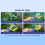 Multi Portable Insect Catcher Push Type Transparent Observer Box Bug Catcher STEM Educational Exploration Tool A 6