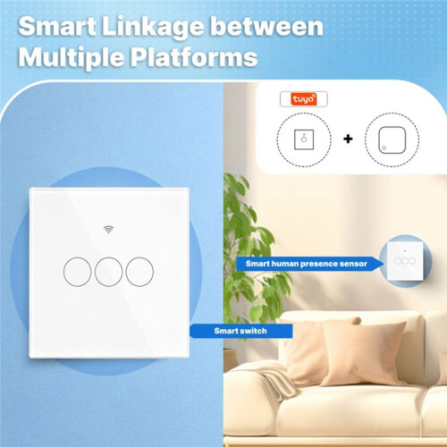 Tuya  Matter Light  WiFi EU Standard 3-Way   Glass Touch Panel APP Remote Control Voice White 2