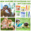 12 Pack Insect Bug Viewer for Kids with Tweezers Magnifying Insect Box Insect Observation Kit Bug Catcher Bug Container 3