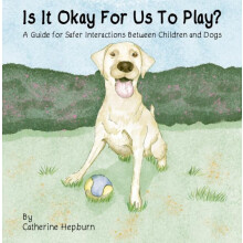 Is It Okay For Us To Play by Catherine Hepburn Paperback Book