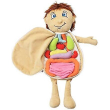 Menselijk Lichaam Anatomie Pluche Speelgoed, 9 Afneembare Velcro Organen, Voorschoolse Educatieve Leerset voor Kinderen van 3 jaar en ouder