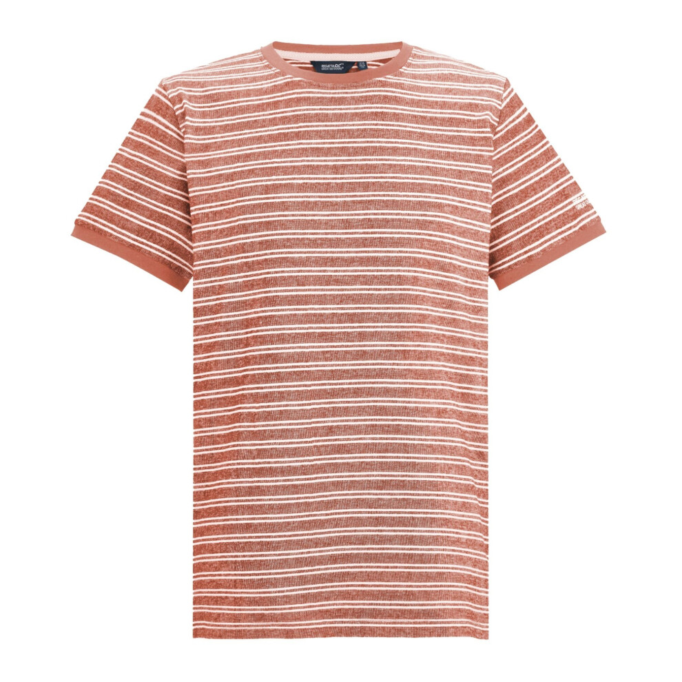 Regatta (L, Brick/White Stone) Mens Benlin Striped T-Shirt