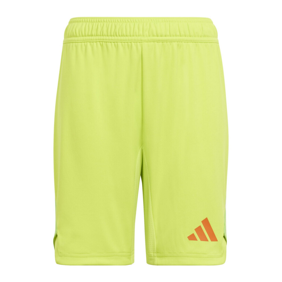 Adidas (Xl S, Solar Yellow) Unisex Adult T24 Goalkeeper Shorts