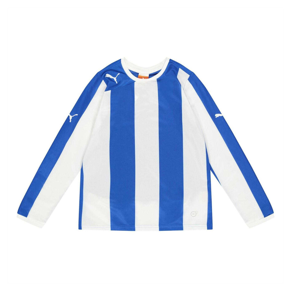 Puma (14 Years, Blue) Childrens/Kids Long-Sleeved Training Jersey