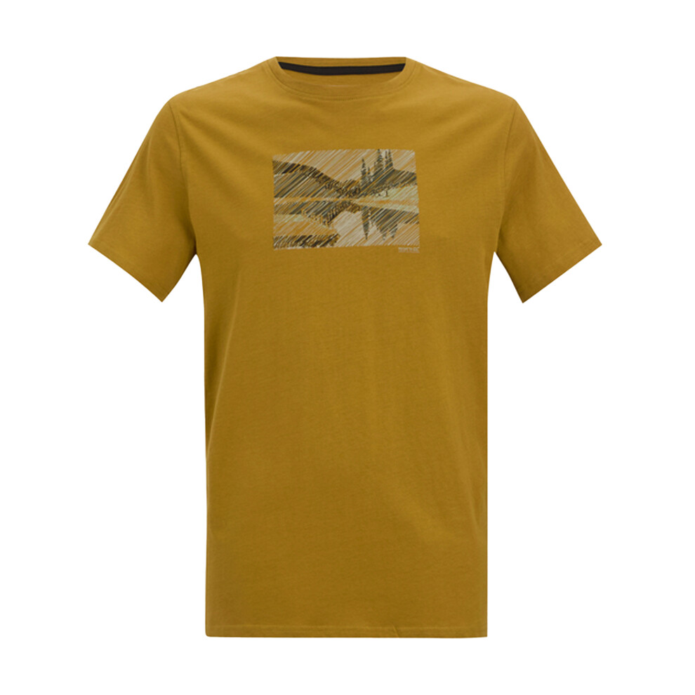 Regatta (3Xl, Wood Brown) Mens Breezed Landscape T-Shirt