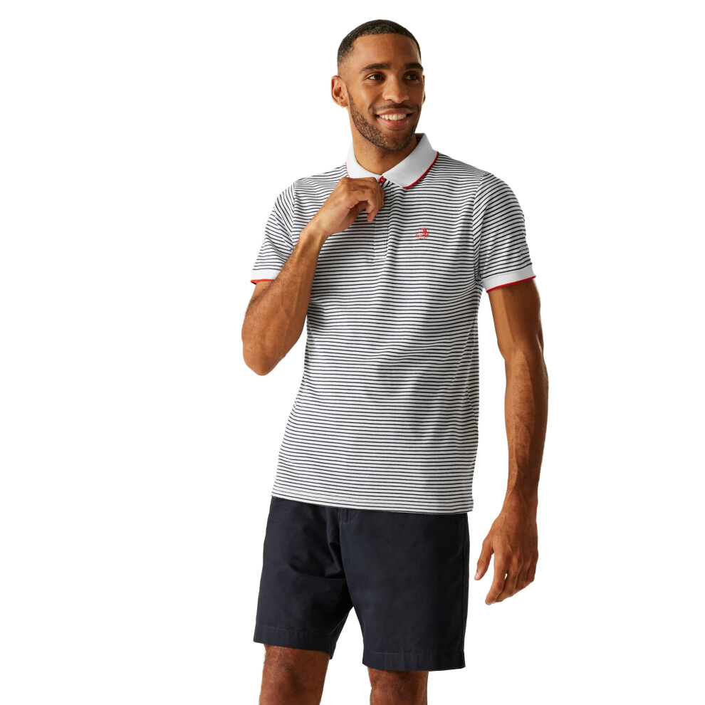 Regatta (3Xl, White/Navy) Mens Tiver Striped Polo Shirt