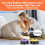 Boutons pour Chiens: Communication, Appels et Sons (30 Secondes) pour L'Éducation Canine. 5
