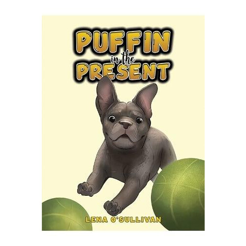 Puffin in the Present by Lena OSullivan Paperback Book