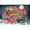 Santas Second Team by Peter Flint Paperback Book 1