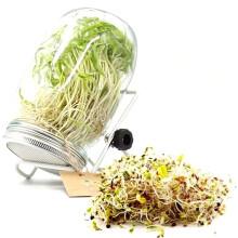 1 Kit de Germination de Graines avec 2 Bocaux à Large Ouverture, Kit de Culture de Germes de Haricots et de Micro-Pousses avec Tamis à Mailles Fines
