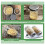 1 Kit 2 Barattoli Germogliazione con Rete, per Germogli e Microgreens 2