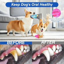 Jouets à Mâcher Rafraîchissants pour Chiens, Lot de 2, Jouets de Dentition Congelables pour Chiots, pour Rafraîchir L'Été, Réutilisables
