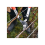 Felco Felco 211-40 Loppers 40cm - Silver/Red 3