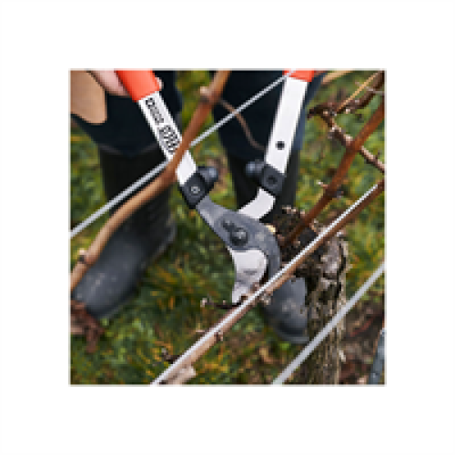 Felco Felco 211-40 Loppers 40cm - Silver/Red 2